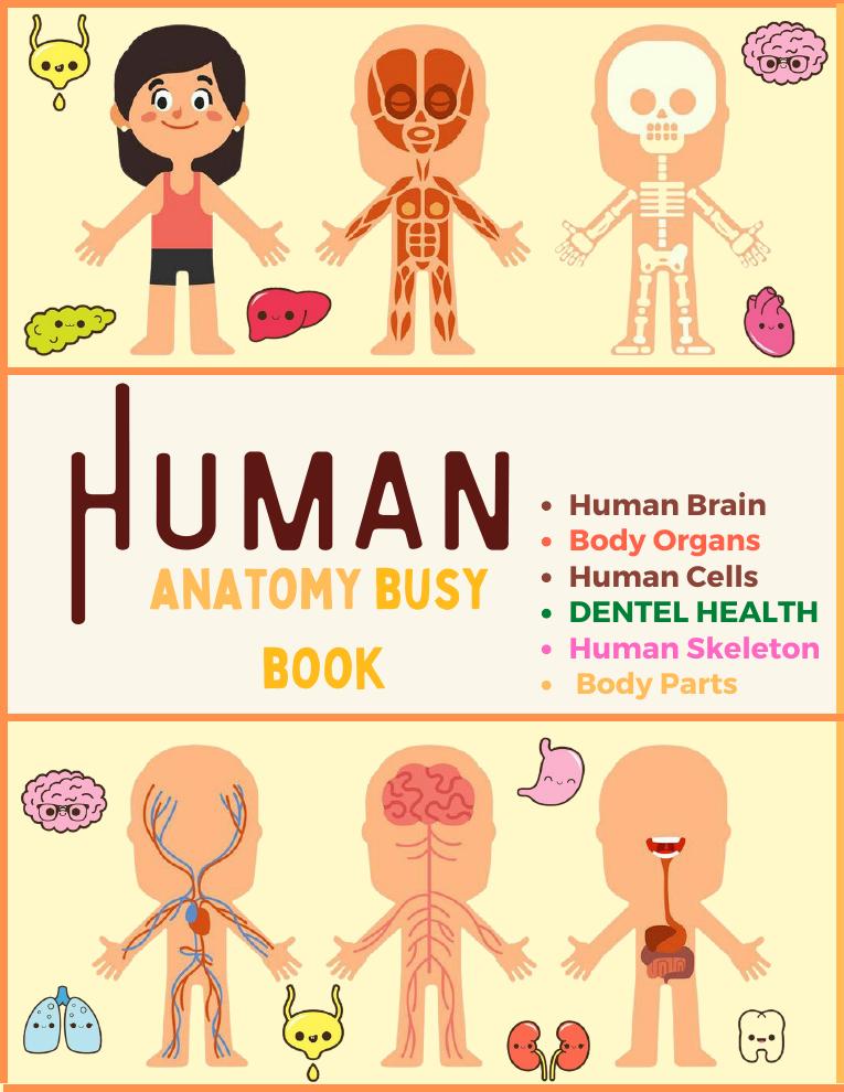 Human Body Busy Book printable preview